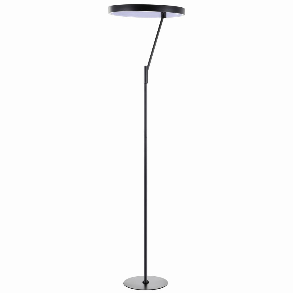 Owen 66.7" Integrated LED Metal Floor Lamp