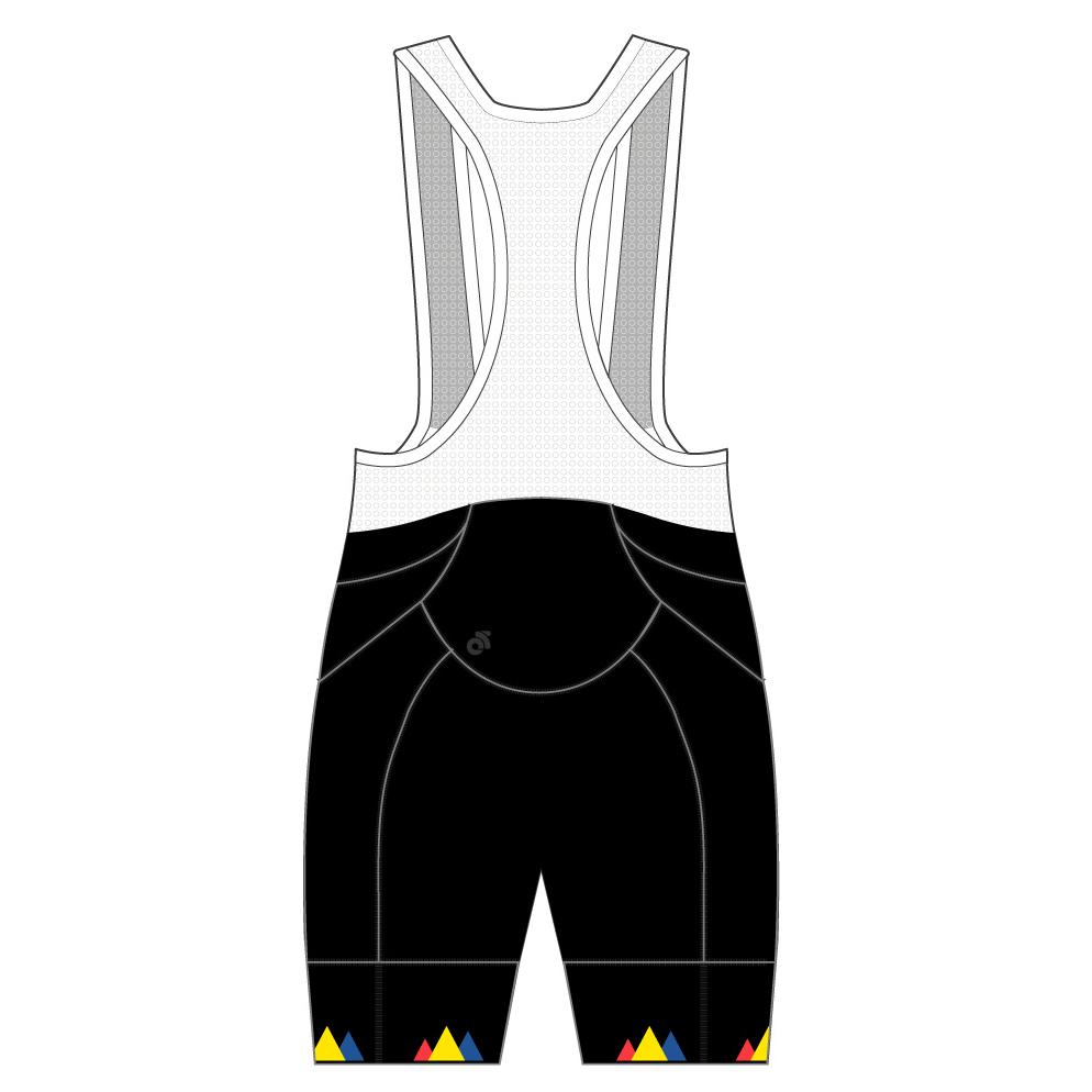 APEX+ Pro Bib Shorts - Black