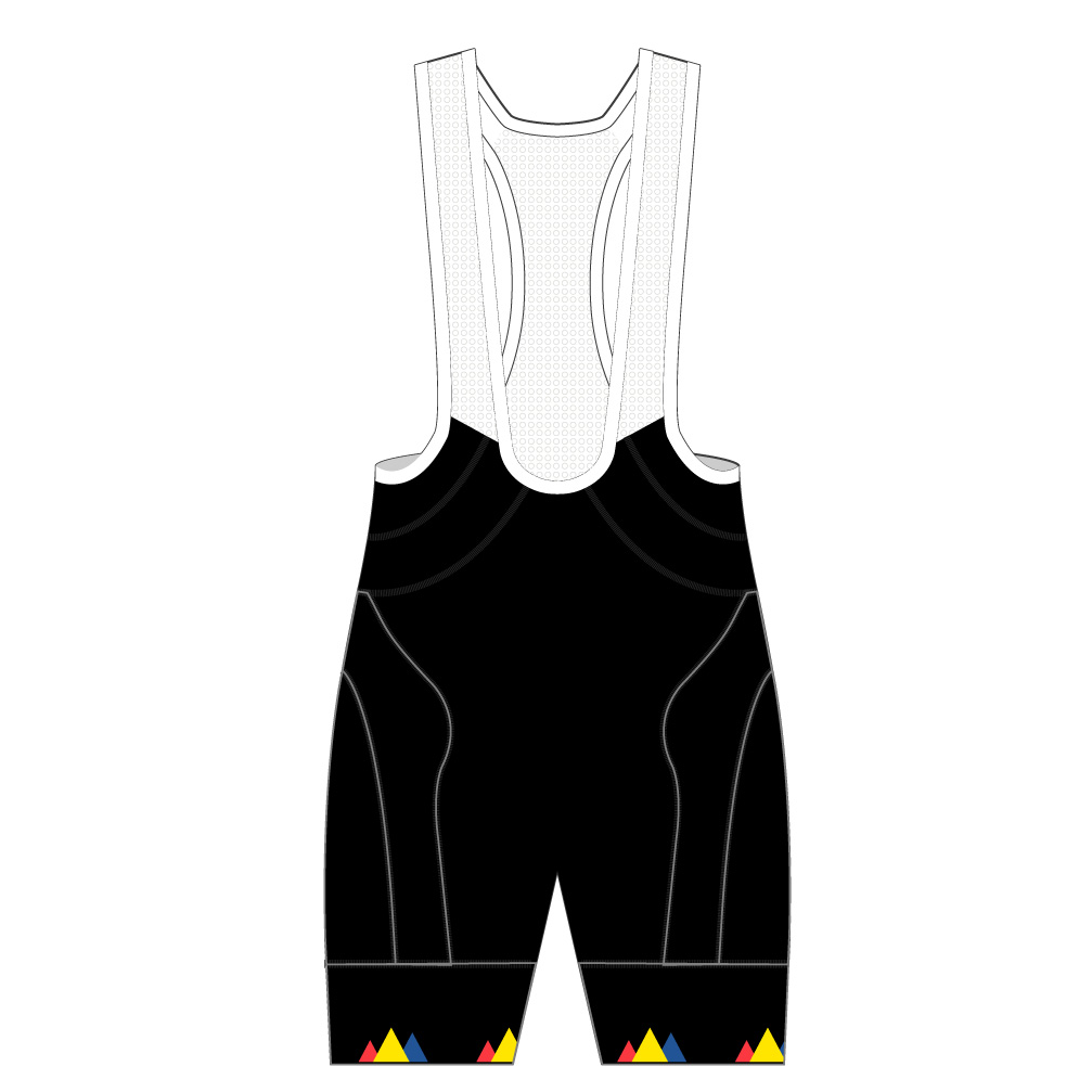 APEX+ Pro Bib Shorts - Black