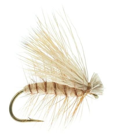 Elk Caddis Tan