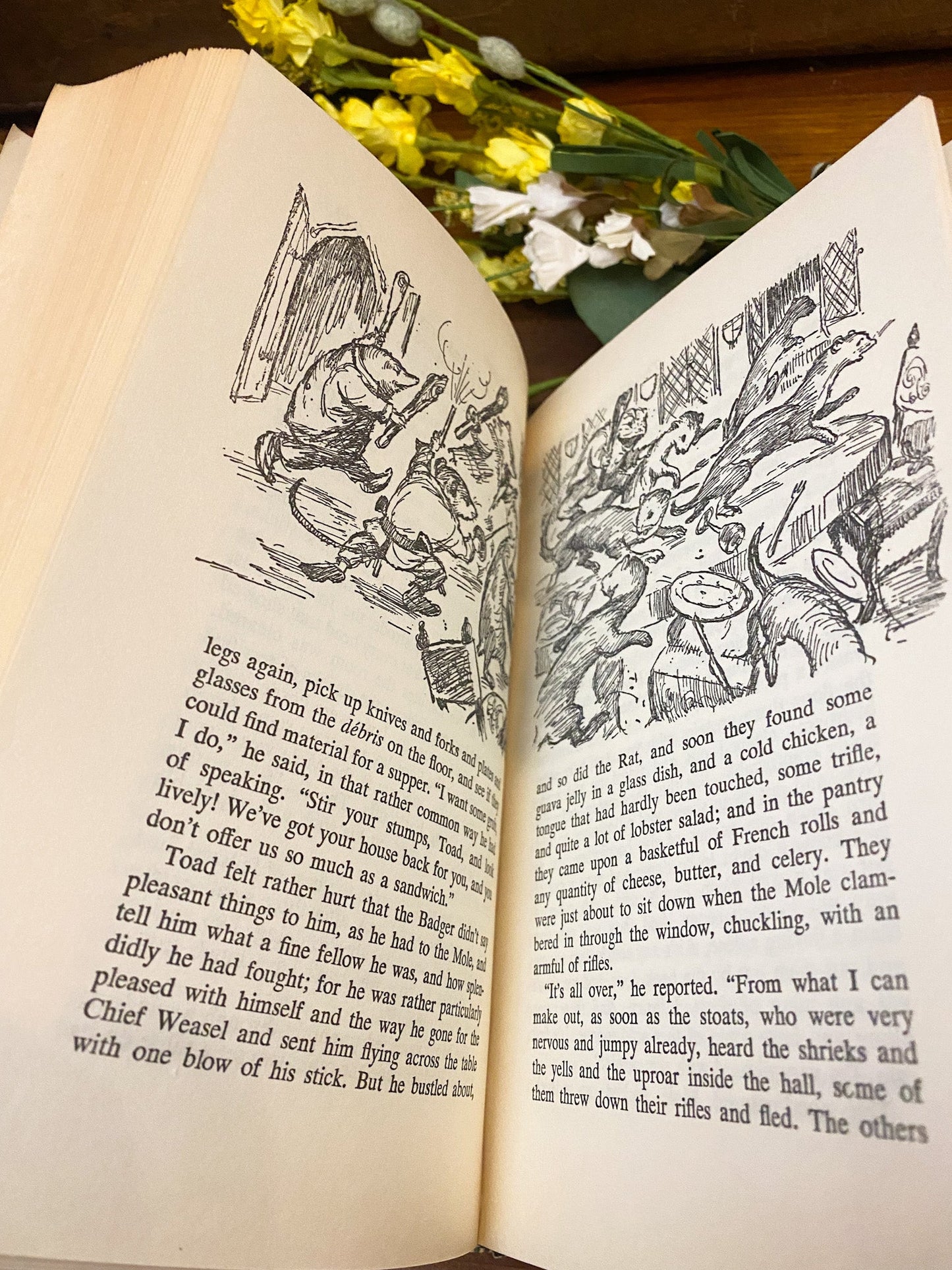 Companion Library: The Wind in the Willows & Tanglewood Tales