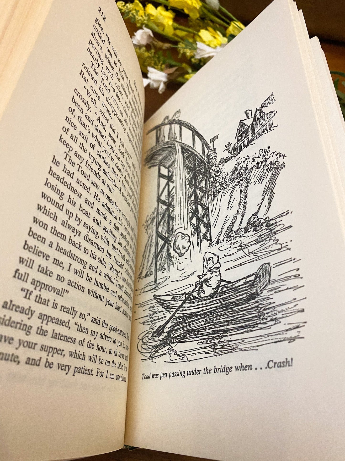 Companion Library: The Wind in the Willows & Tanglewood Tales