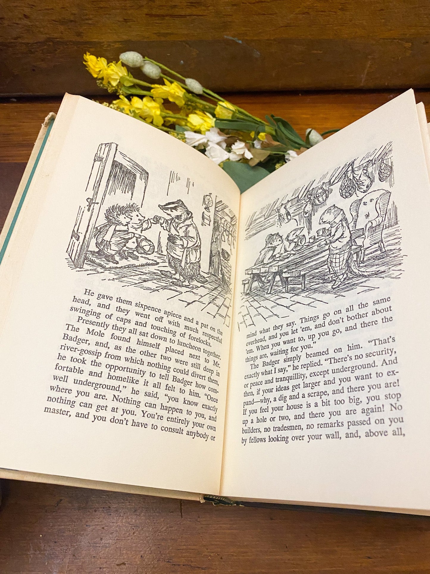 Companion Library: The Wind in the Willows & Tanglewood Tales