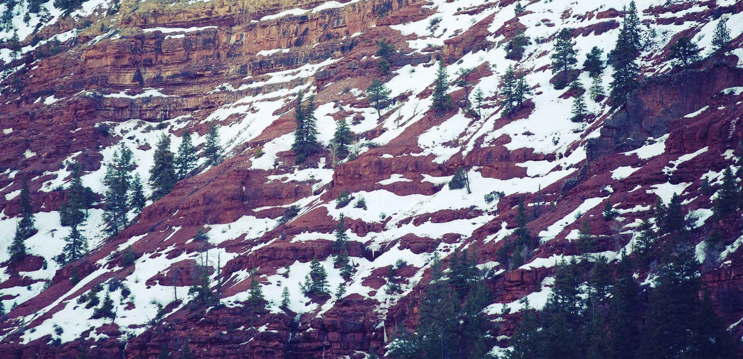 Telluride Perfume